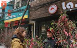 Lên ngay chợ hoa Hàng Lược để thấy Tết về